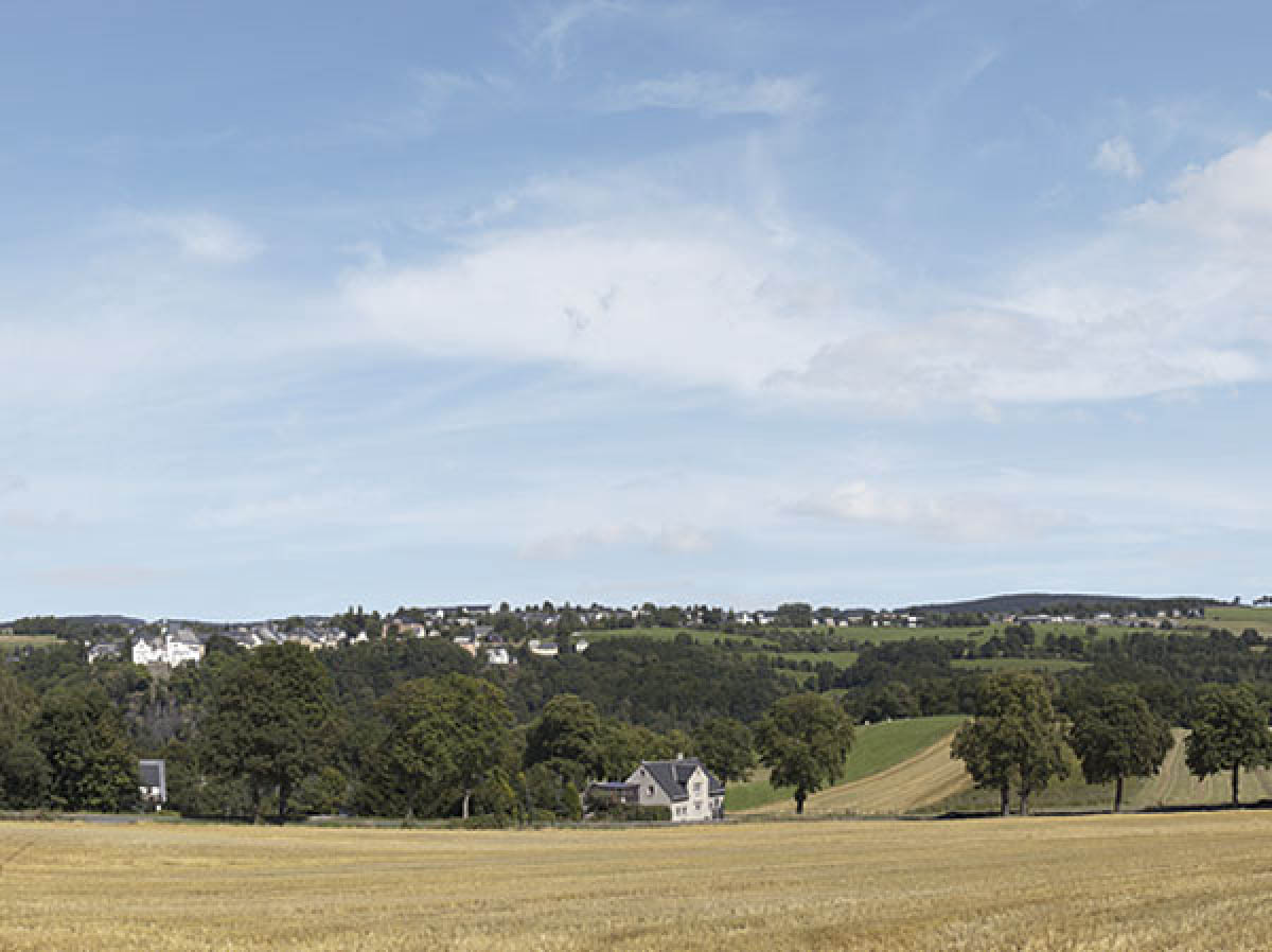 015-42513 - Hintergrund Erzgebirge 1 3-teilig (Gesamtlänge 279 x 65 cm)